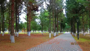 Şəkil 2