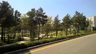 Şəkil 2